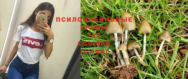 соль курить ск Осинники
