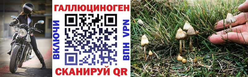 Псилоцибиновые грибы ЛСД наркошоп Балей